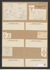 Odontidium harrisonii W. Sm. (de-Toni-Nr.: Genus 59, Species 2546) Zeichnungen Sammlung Grunow Nr. 5112 (NHMW-BOT-W0373408)